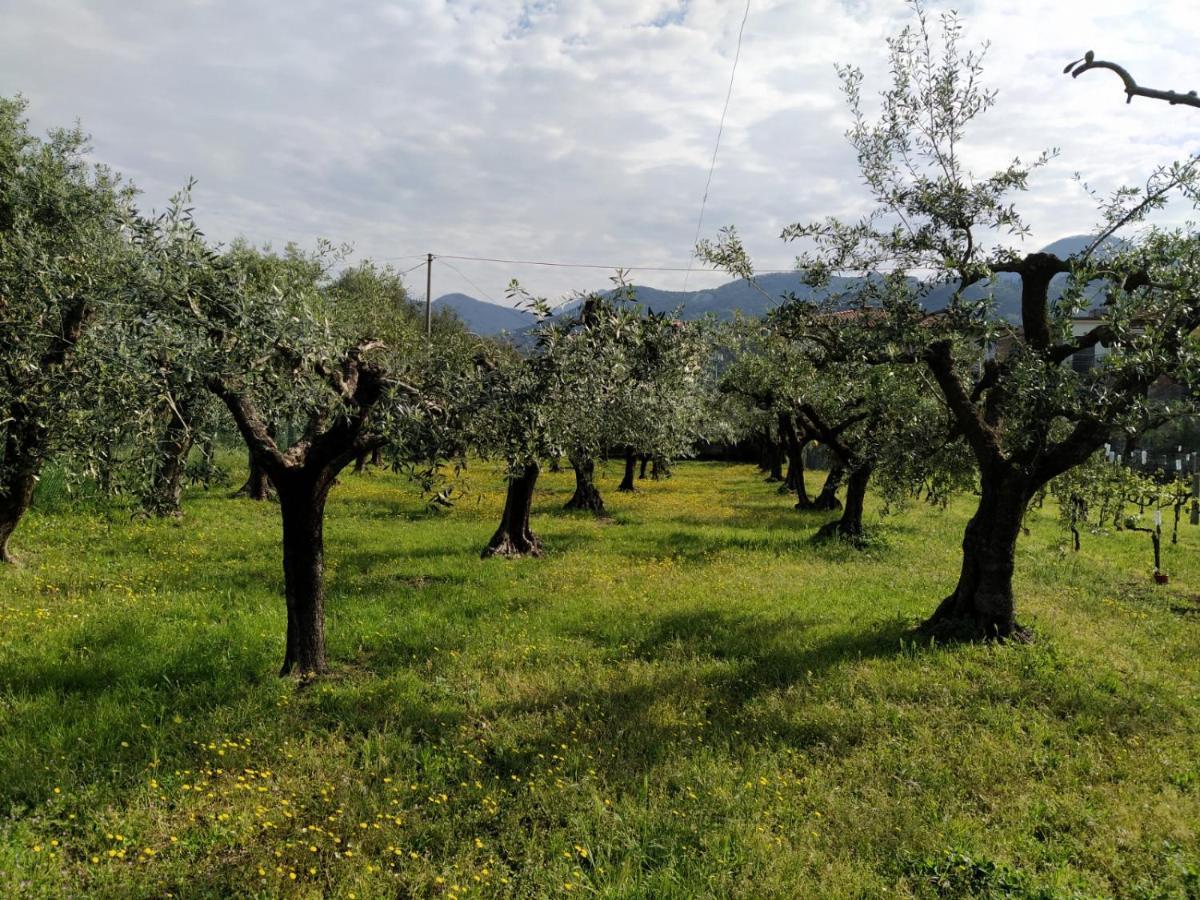 Agriturismo La Vite Maritata بيتراسانتا المظهر الخارجي الصورة