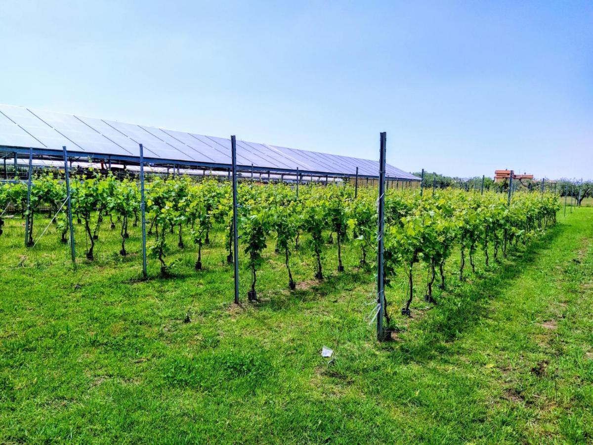 Agriturismo La Vite Maritata بيتراسانتا المظهر الخارجي الصورة